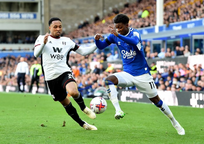 ALAM RAYA BERITA - Prediksi Skor Everton vs Fulham di Liga Inggris, Tuan Rumah